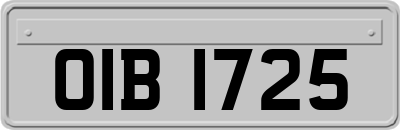 OIB1725