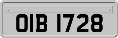 OIB1728