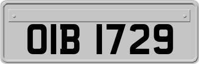 OIB1729