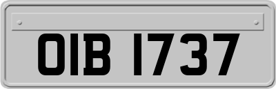 OIB1737