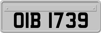 OIB1739