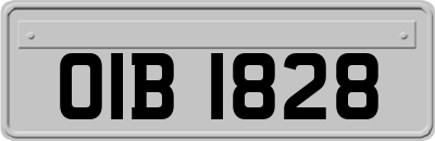 OIB1828