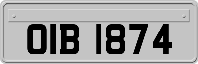 OIB1874