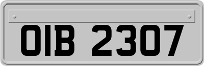 OIB2307