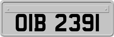 OIB2391