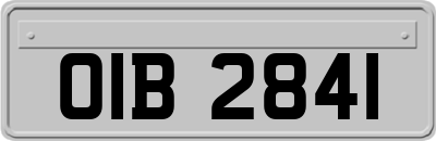 OIB2841