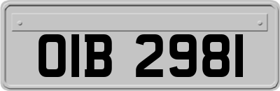 OIB2981