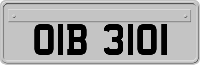 OIB3101
