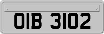 OIB3102