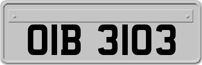 OIB3103