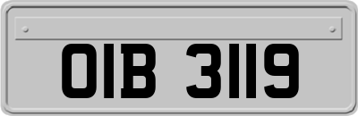 OIB3119