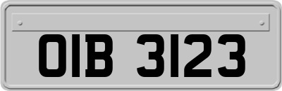 OIB3123
