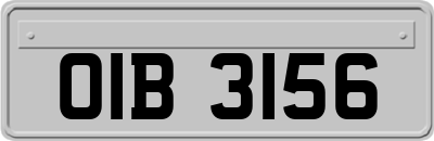 OIB3156