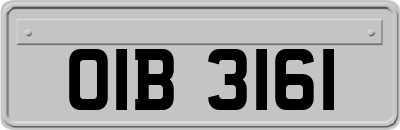 OIB3161