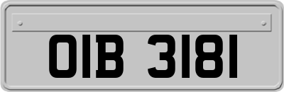 OIB3181