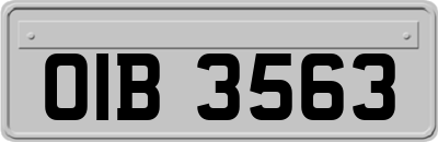 OIB3563