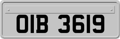 OIB3619