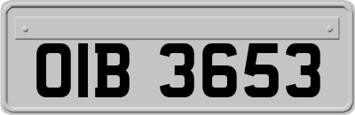OIB3653