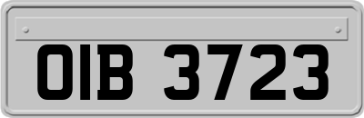 OIB3723