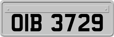 OIB3729