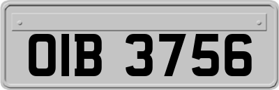 OIB3756