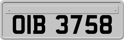 OIB3758