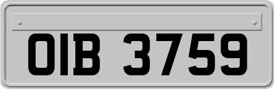 OIB3759