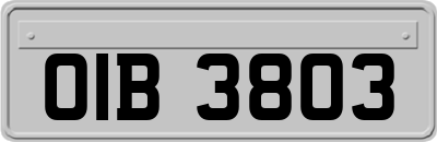 OIB3803