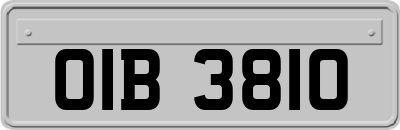 OIB3810
