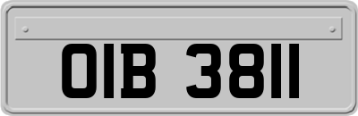 OIB3811