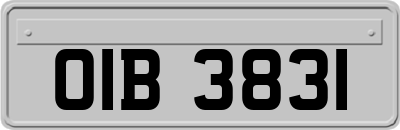 OIB3831