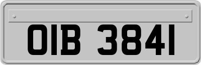 OIB3841