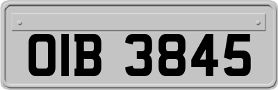 OIB3845