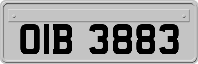 OIB3883