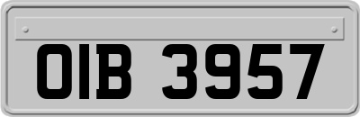 OIB3957