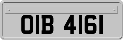OIB4161