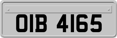OIB4165