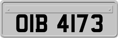 OIB4173