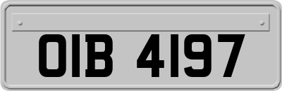 OIB4197