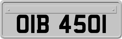 OIB4501
