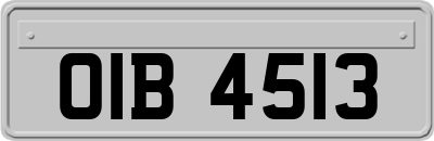 OIB4513