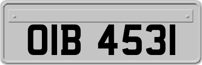 OIB4531