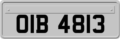 OIB4813