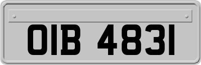 OIB4831