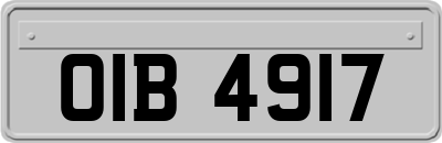 OIB4917