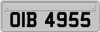 OIB4955