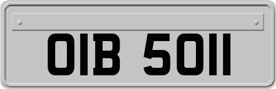 OIB5011