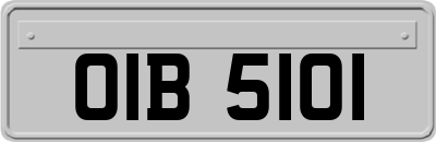 OIB5101