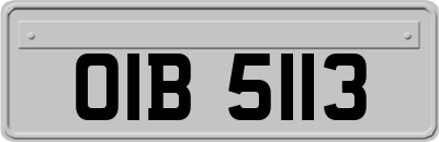 OIB5113