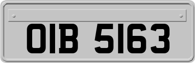OIB5163